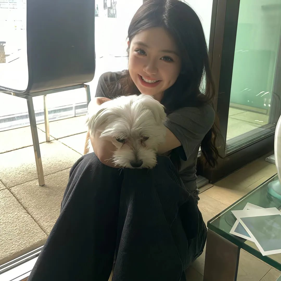 狗日子